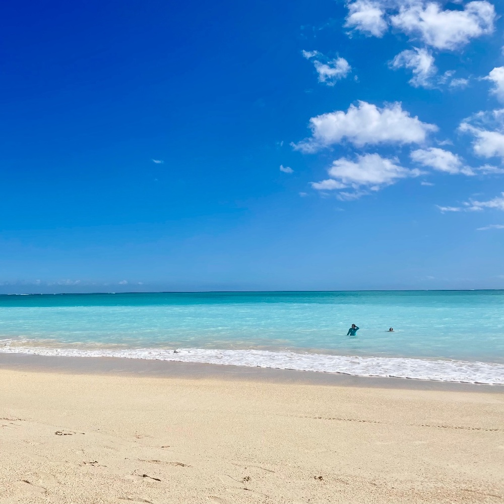 Meet your Posher, Yeonsu